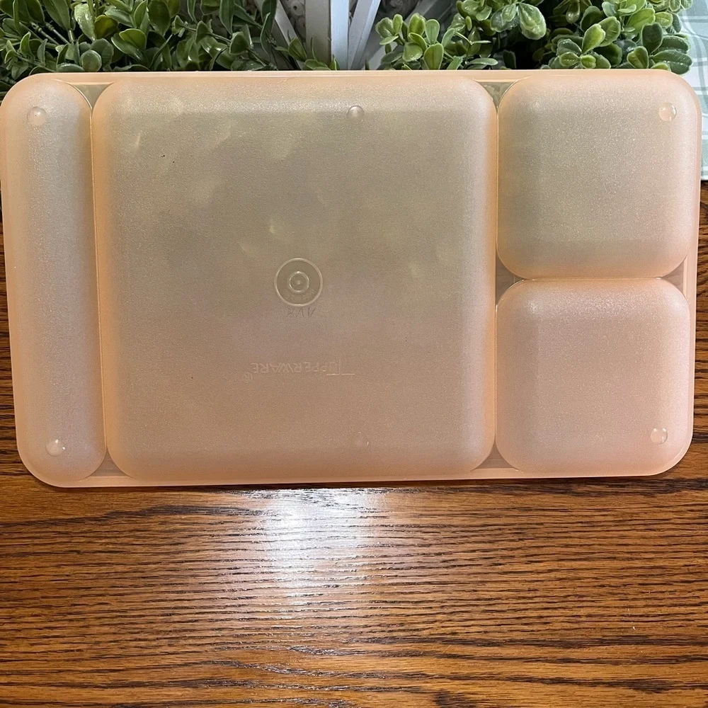Tupperware Classic Divided Picnic Camping‎ Trays Set of 4 Multicolor #1535